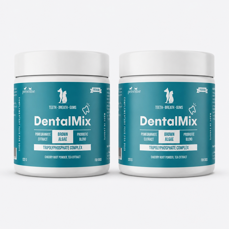 2x DentalMix