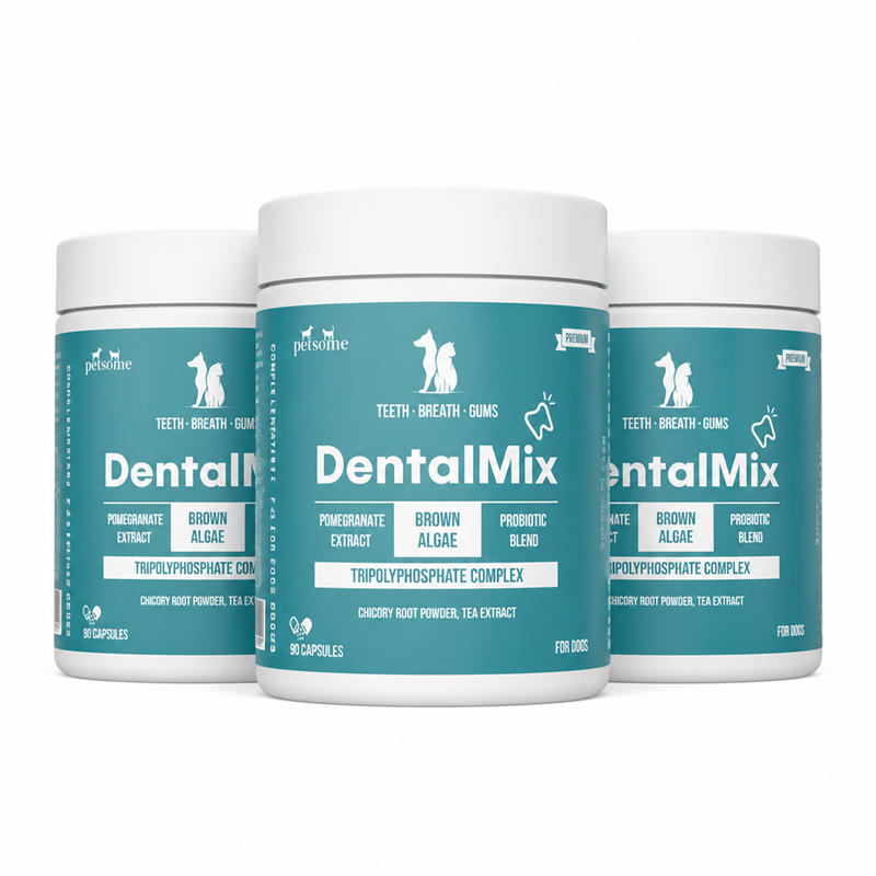 3x DentalMix