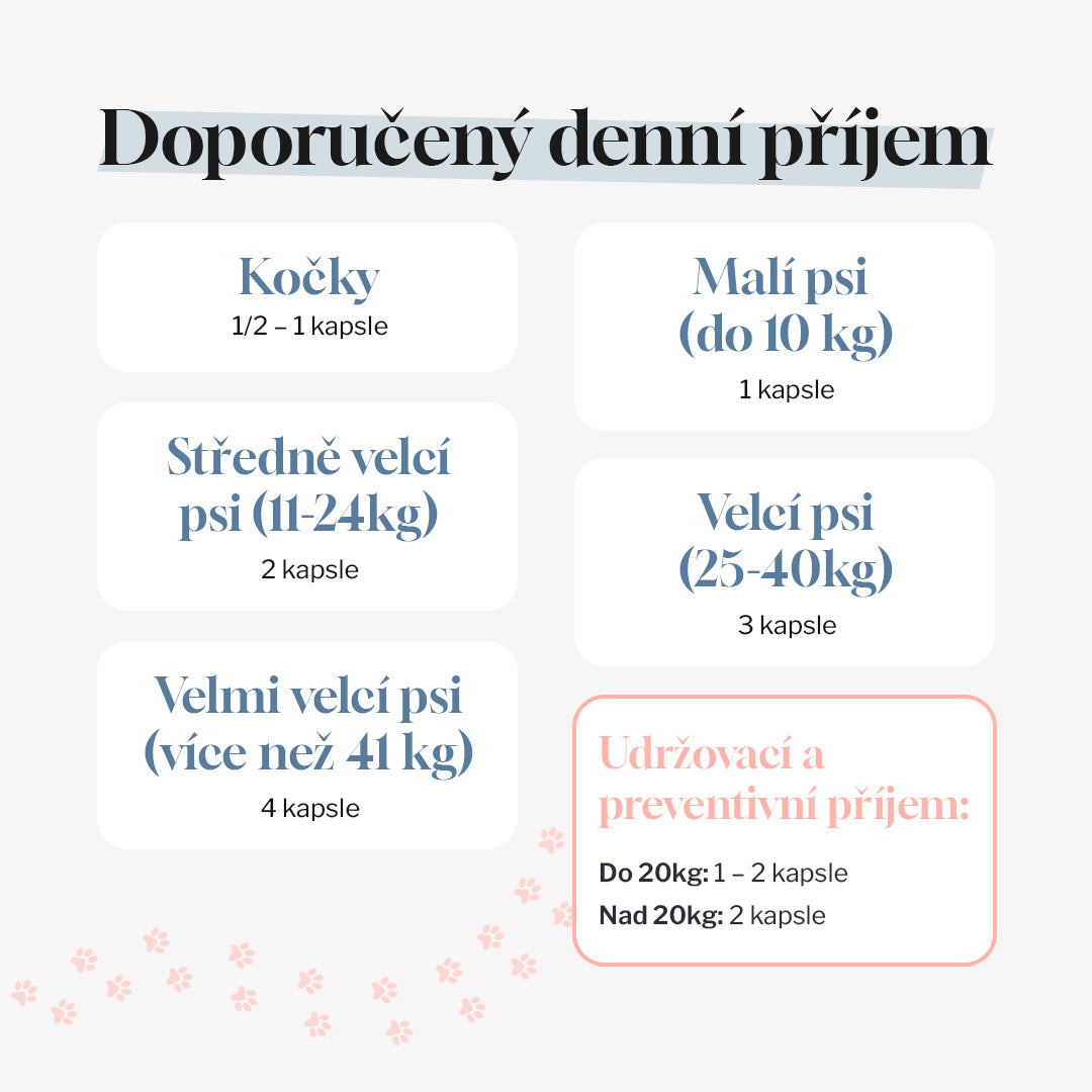 MobiMix pro psy a kočky