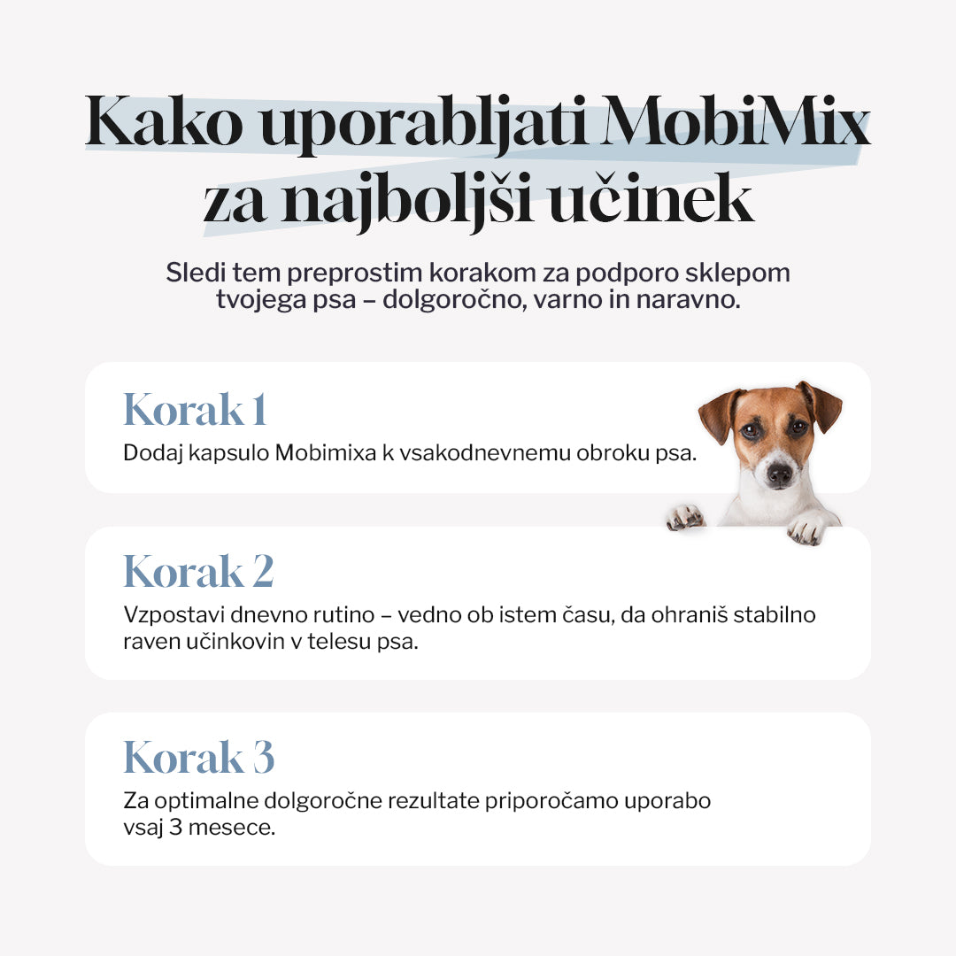 MobiMix za pse in mačke