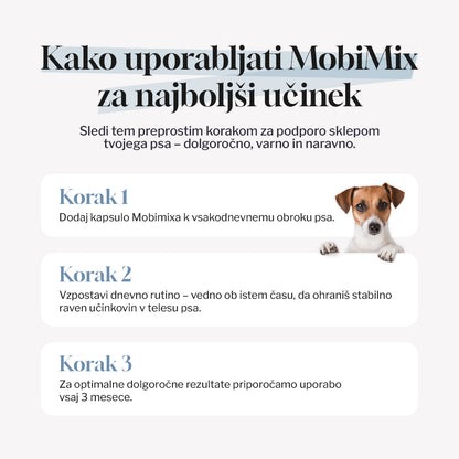 MobiMix - Začetni paket