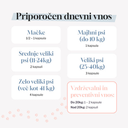 MobiMix - Začetni paket