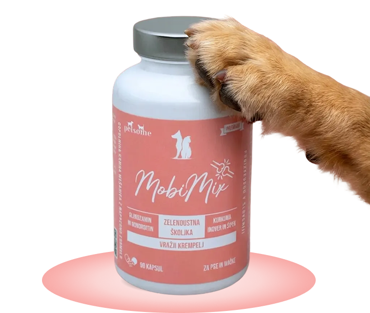 Podpora sklepom za lažje gibanje vašega ljubljenčka