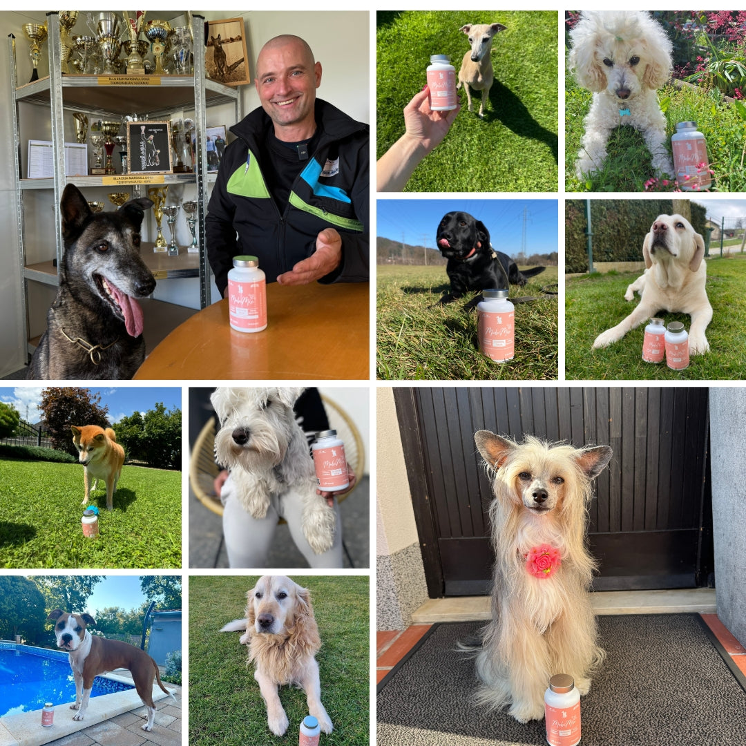 MobiMix za pse in mačke