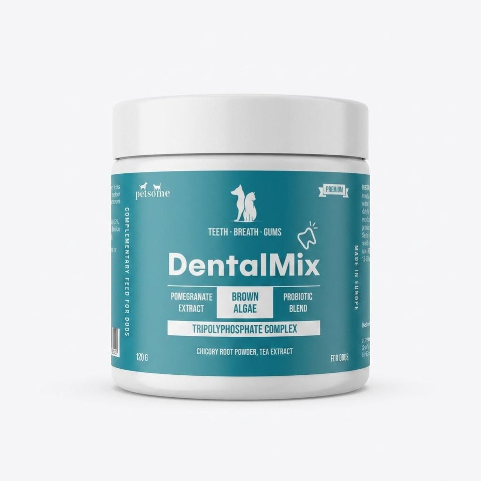 DentalMix 