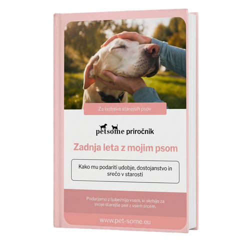 Zadnja leta s psom