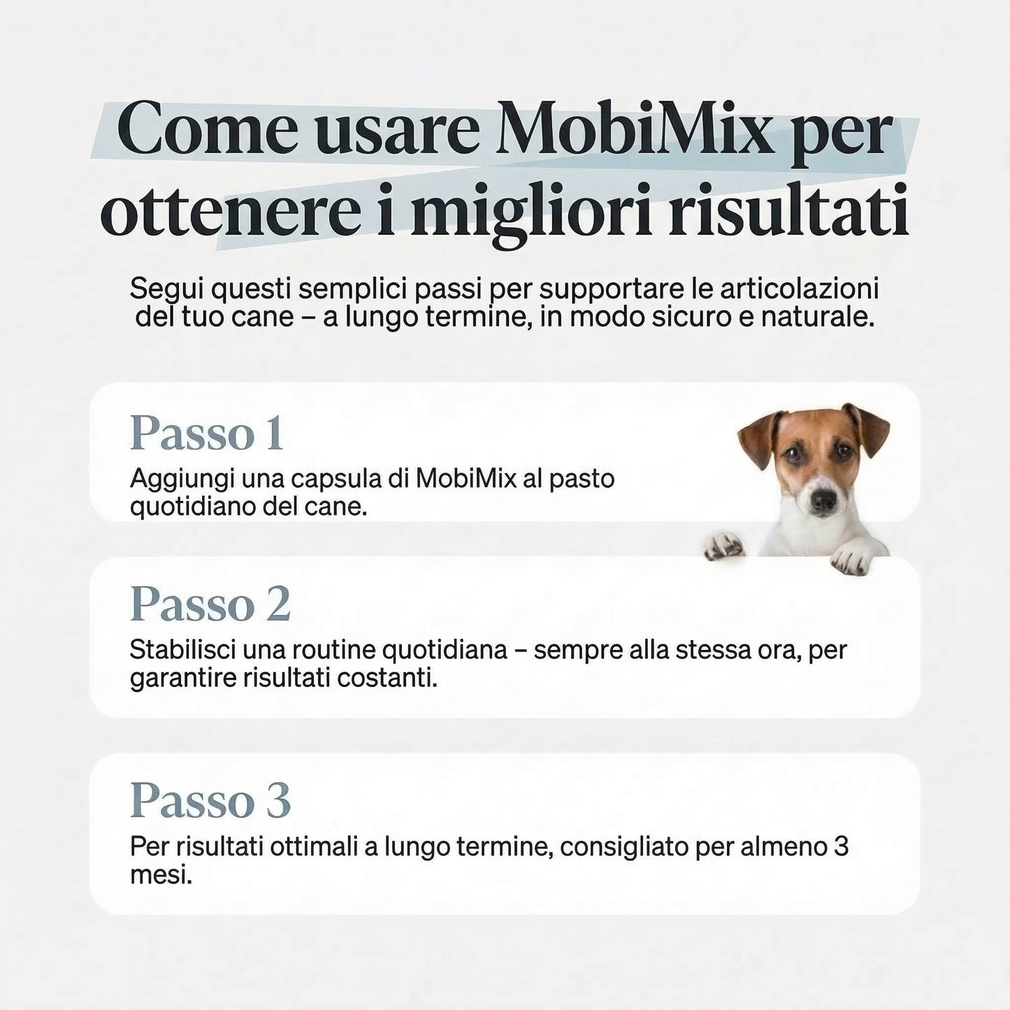 MobiMix per cani e gatti