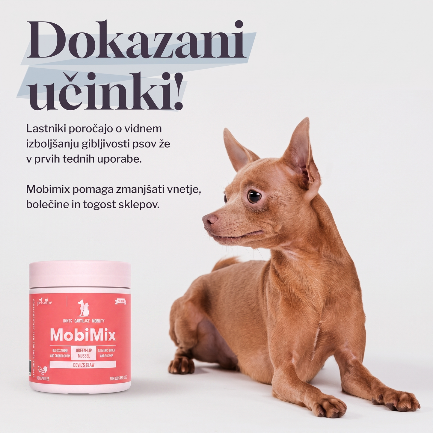 MobiMix za pse i mačke