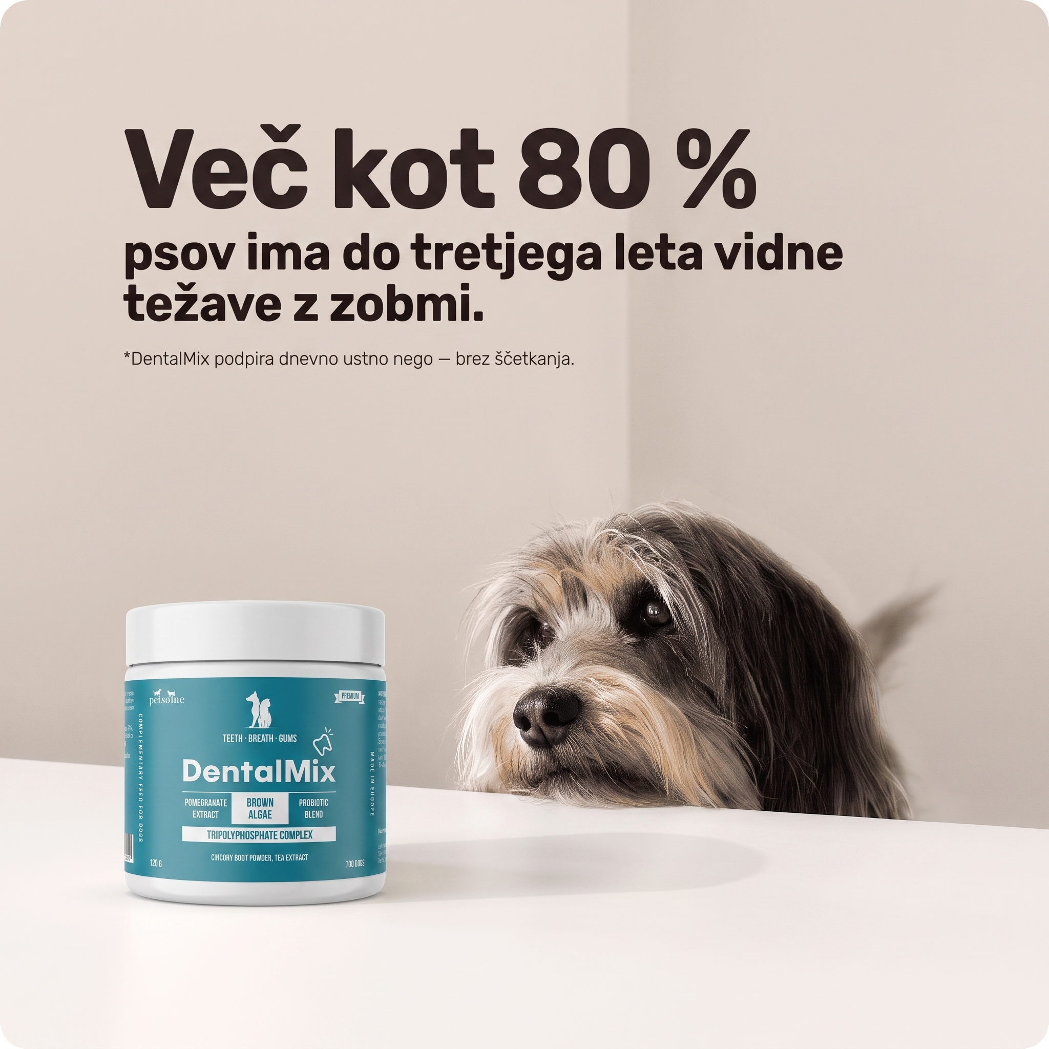 DentalMix 