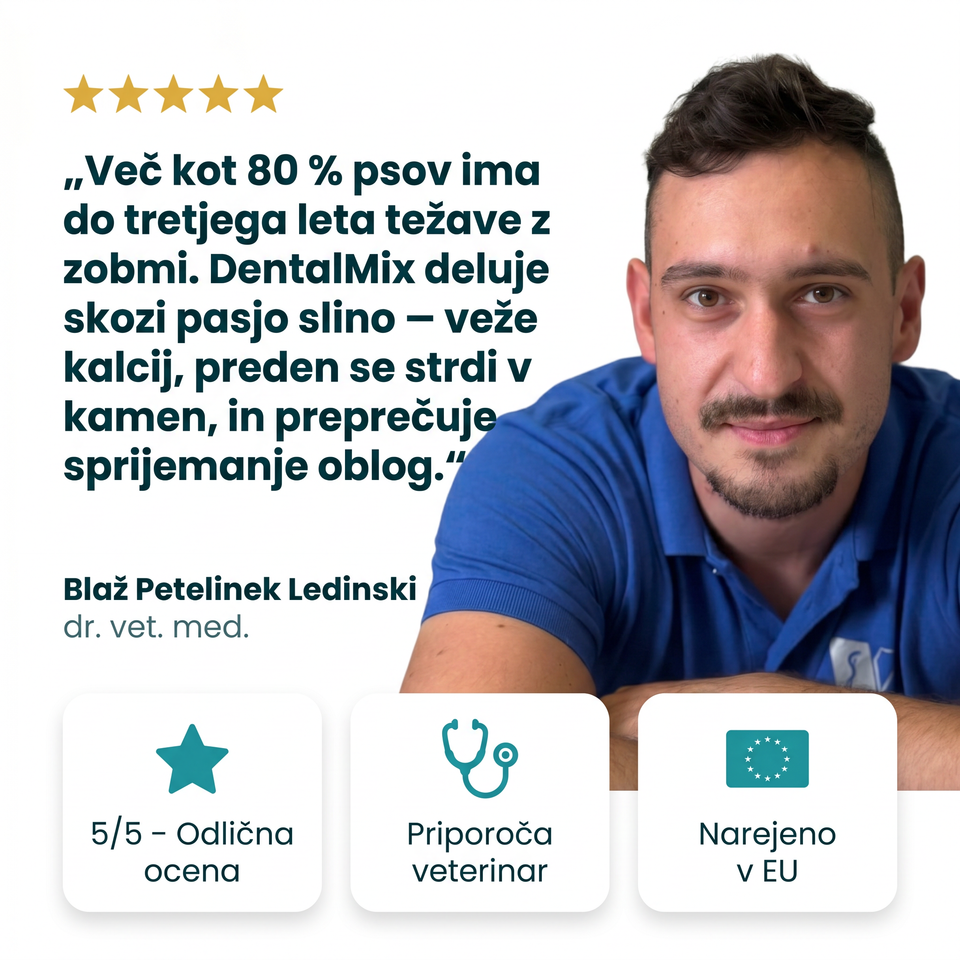 DentalMix 