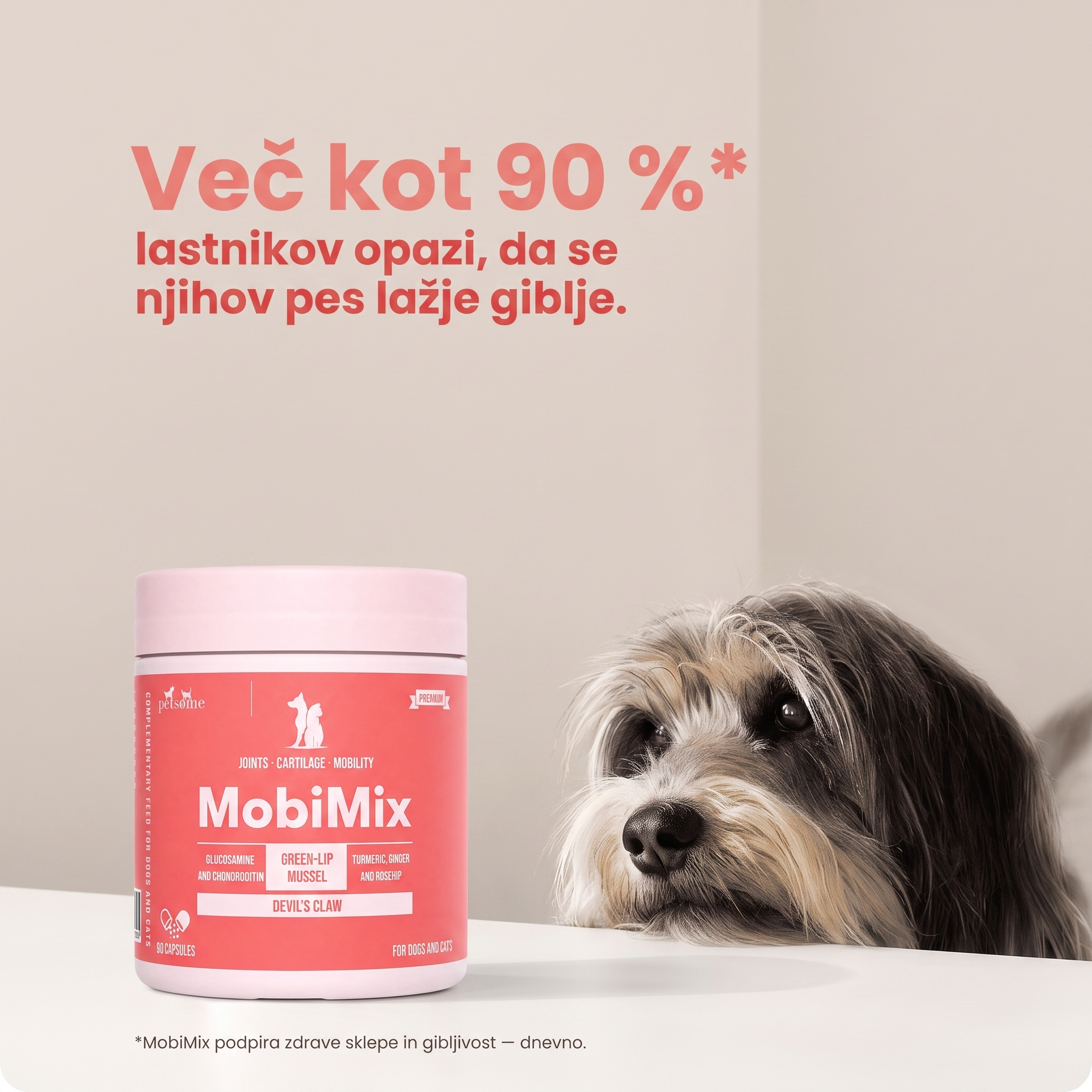 MobiMix 