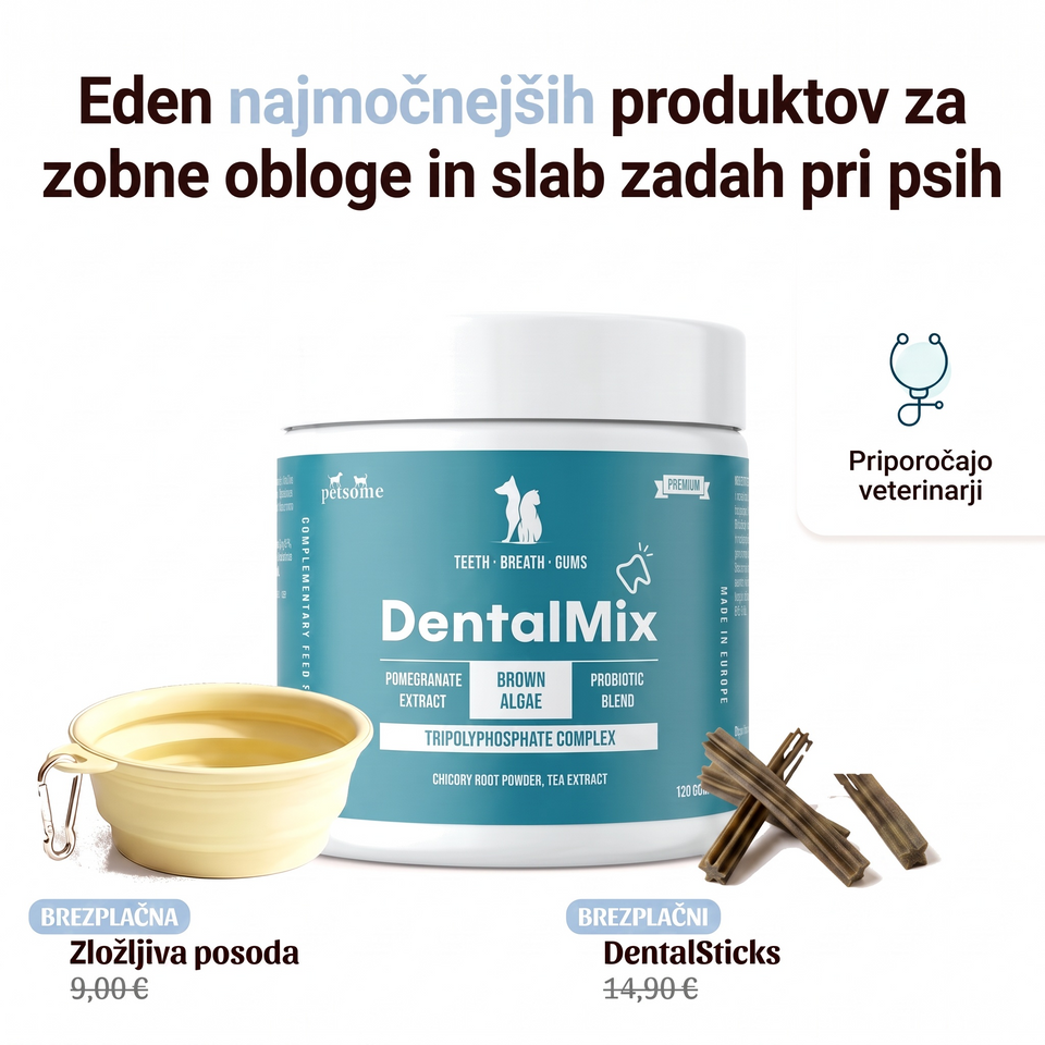 DentalMix 