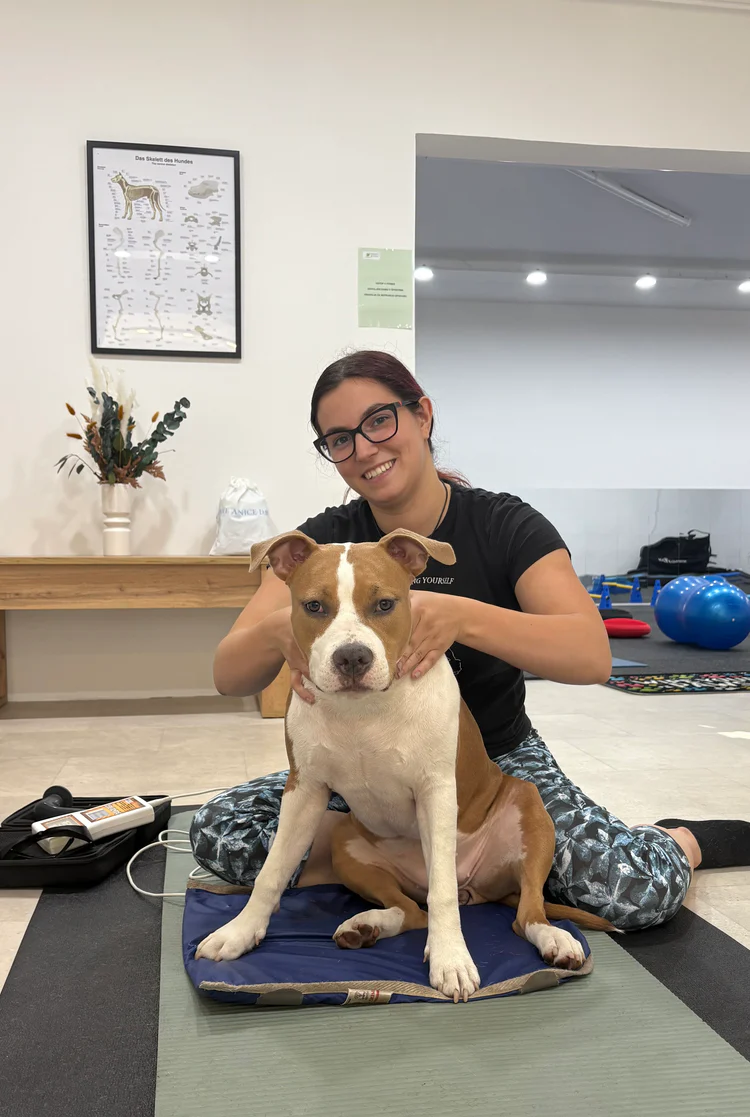 Customer avatar (Verified reviewer)